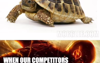 PATI: The Fast-Track to Empowered Teams and Better Decisions