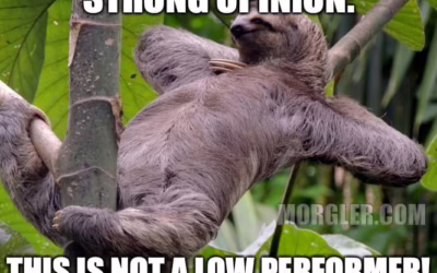 Low Performance Is a Leadership Problem, Not a People Problem