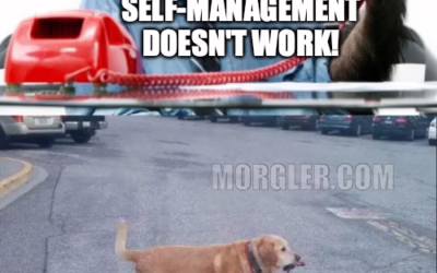 Learned Helplessness: The Hidden Barrier to Agility